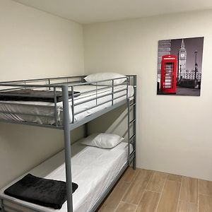 Bunk Bed Mixed Dormitory Room